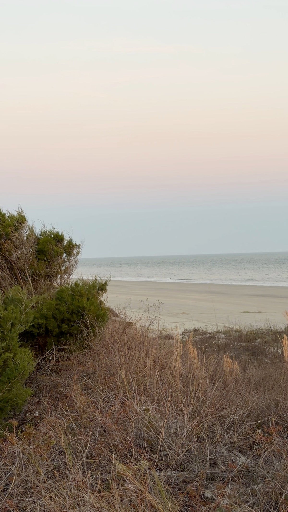 Coastal Collection